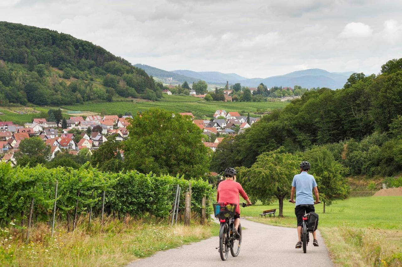 Landhotel Hauer Pleisweiler-Oberhofen Luaran gambar