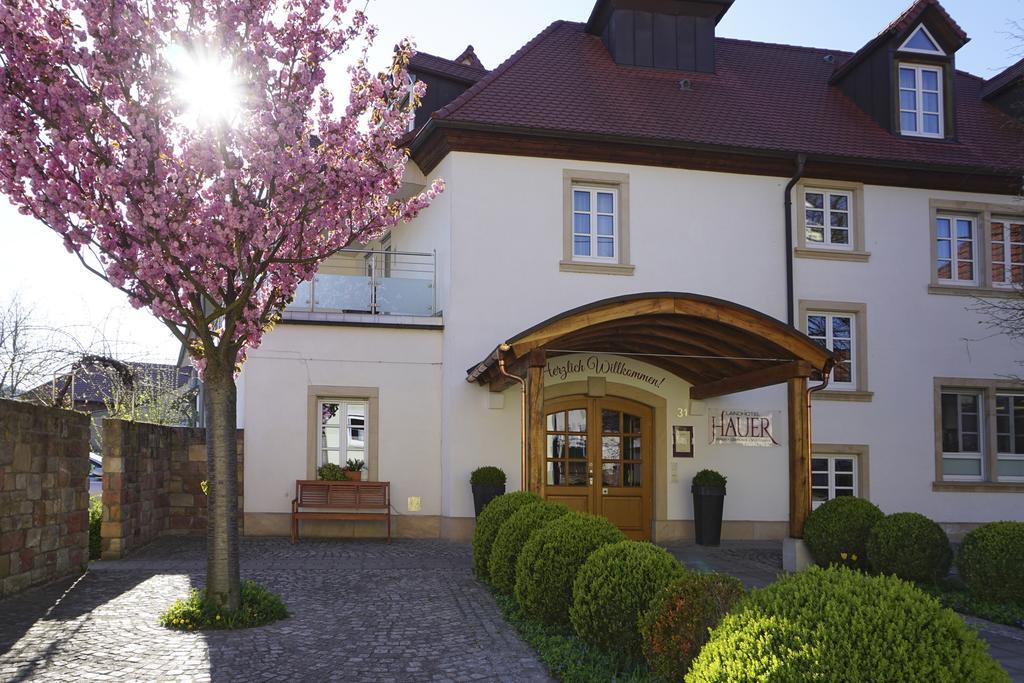 Landhotel Hauer Pleisweiler-Oberhofen Luaran gambar